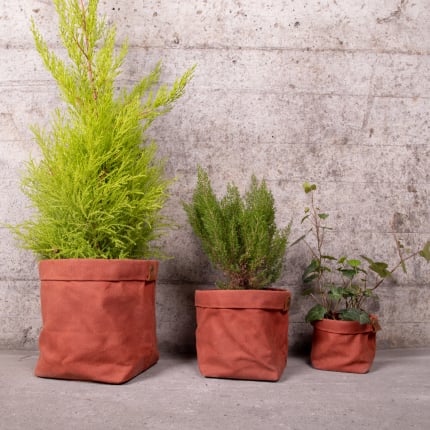 Set de trois cache-pots en toile waxée