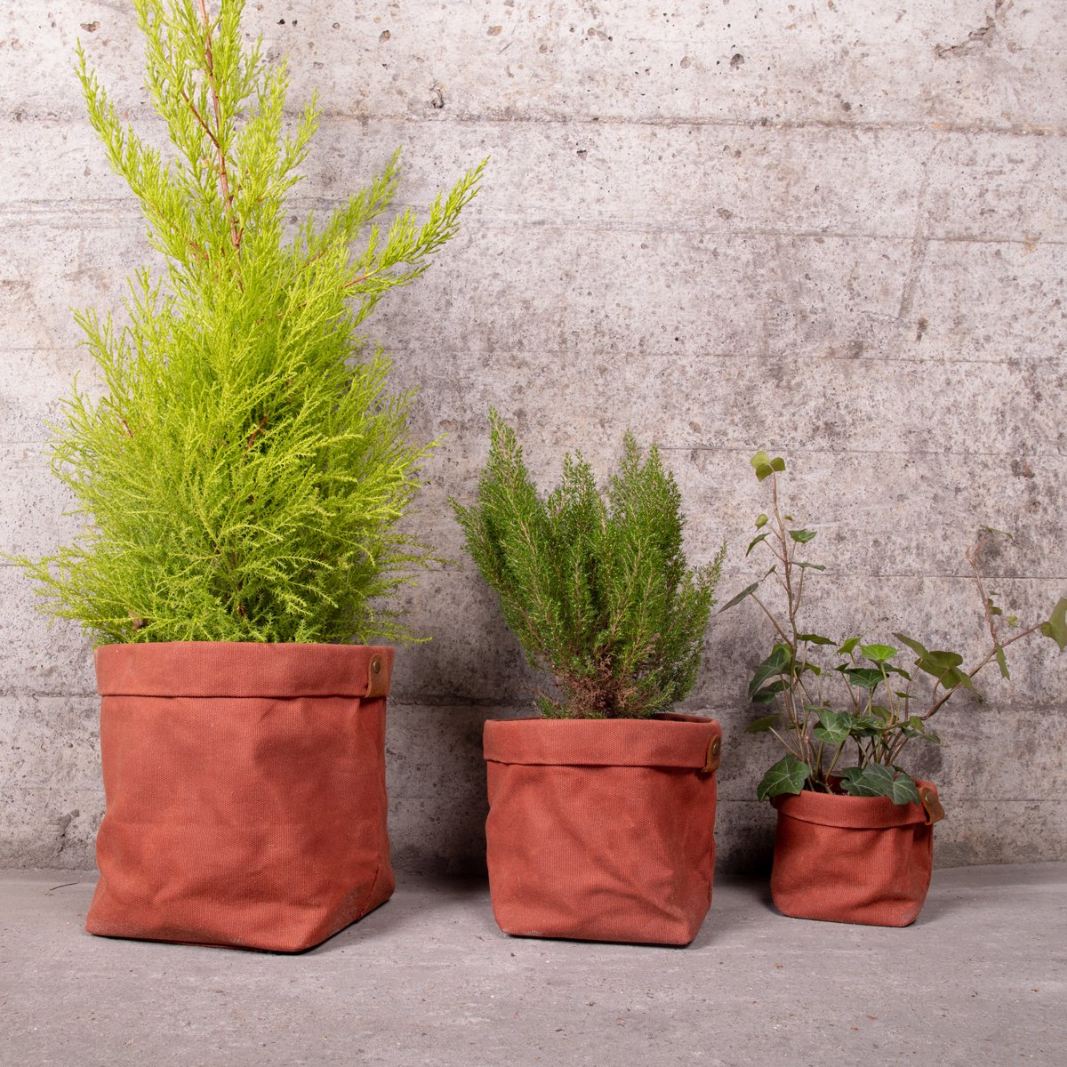 Set de trois cache-pots en toile waxée