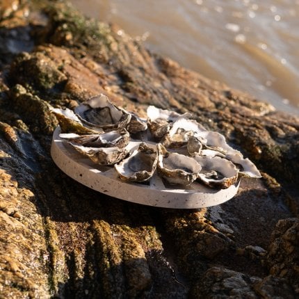 Plateau à huîtres en coquillages Second image