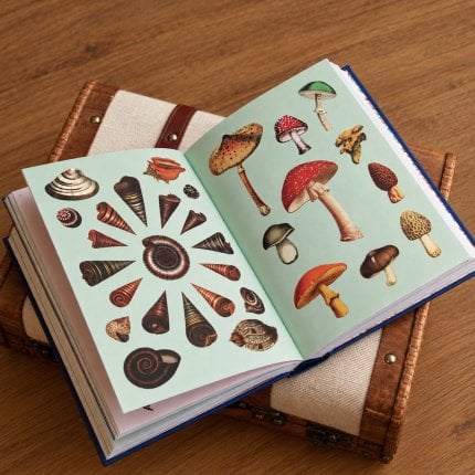 Livre de stickers vintage Second image