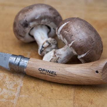 Coffret Champignon Opinel Image 11055