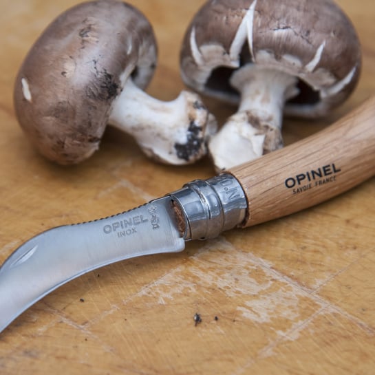 Coffret Champignon Opinel