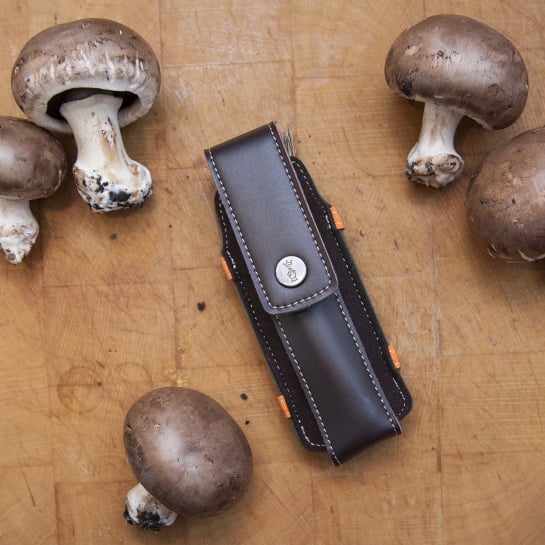 Coffret Champignon Opinel