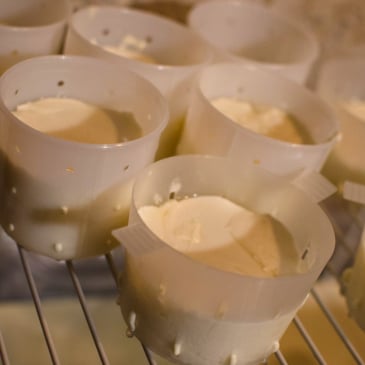 Atelier fabrication de fromages Image 12133