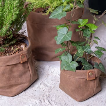 Set de trois cache-pots en toile waxée (image 2)