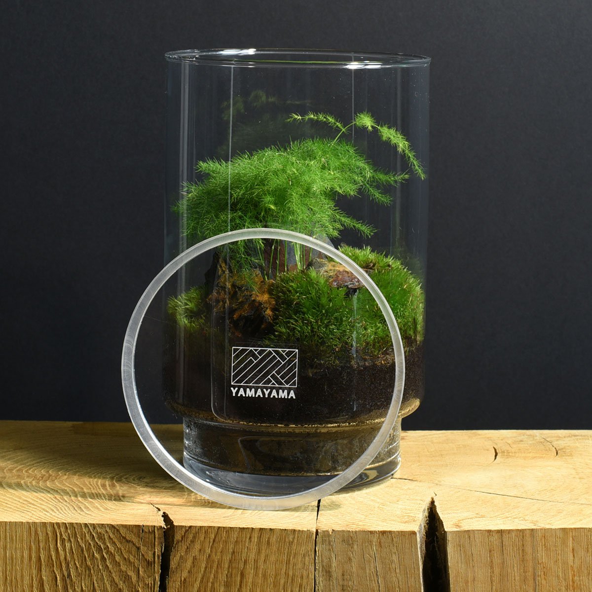 Terrarium DIY Yamayama – Kit complet composer mini écosystème bocal verre, plante nécessitant peu d’entretien