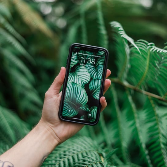 Coque iPhone bio et antibactérienne - Les Raffineurs