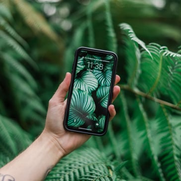 Coque iPhone bio et antibactérienne (image 2)