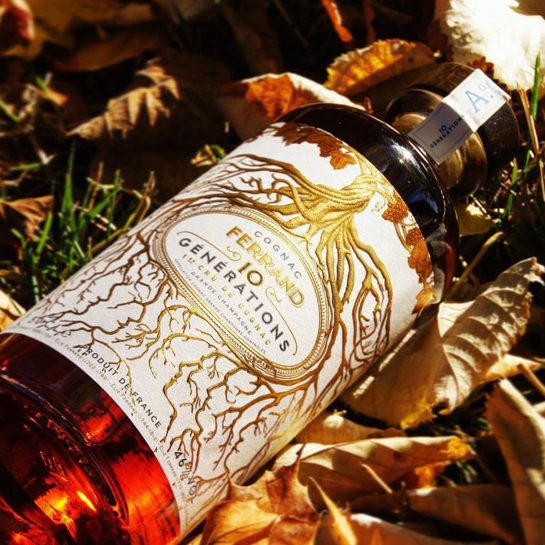 Cognac 10 Générations La Maison du Whisky – Assemblage de Grande Champagne, notes fruitées et mentholées, artisanal