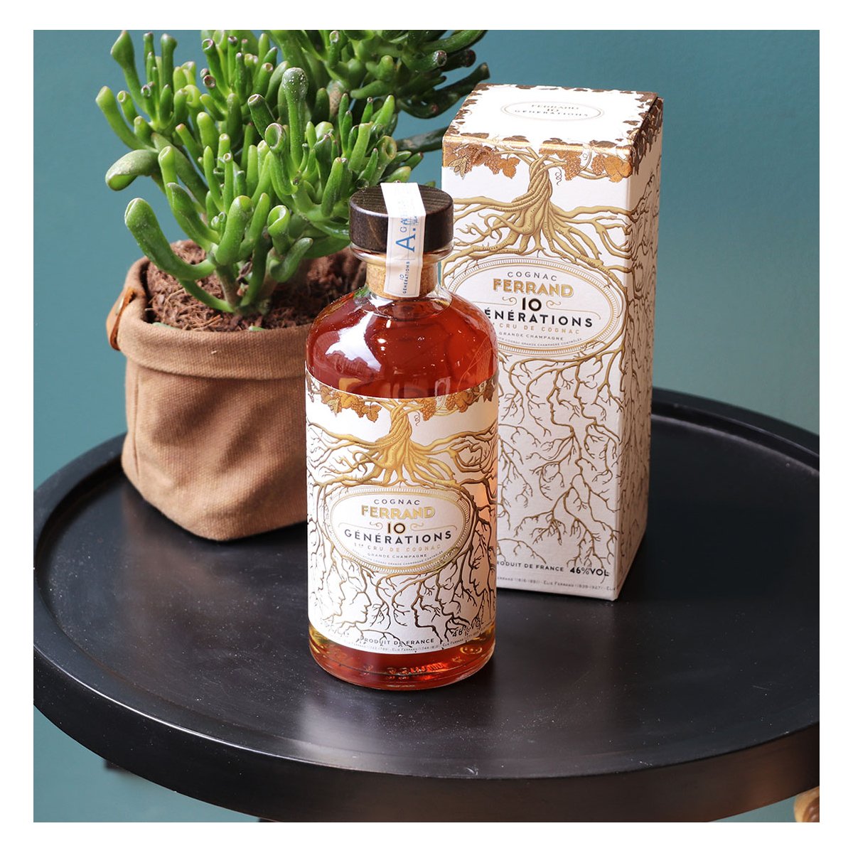 Cognac 10 Générations La Maison du Whisky – Assemblage de Grande Champagne, notes fruitées et mentholées, artisanal