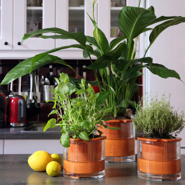 Pot en céramique intelligent Image 16577