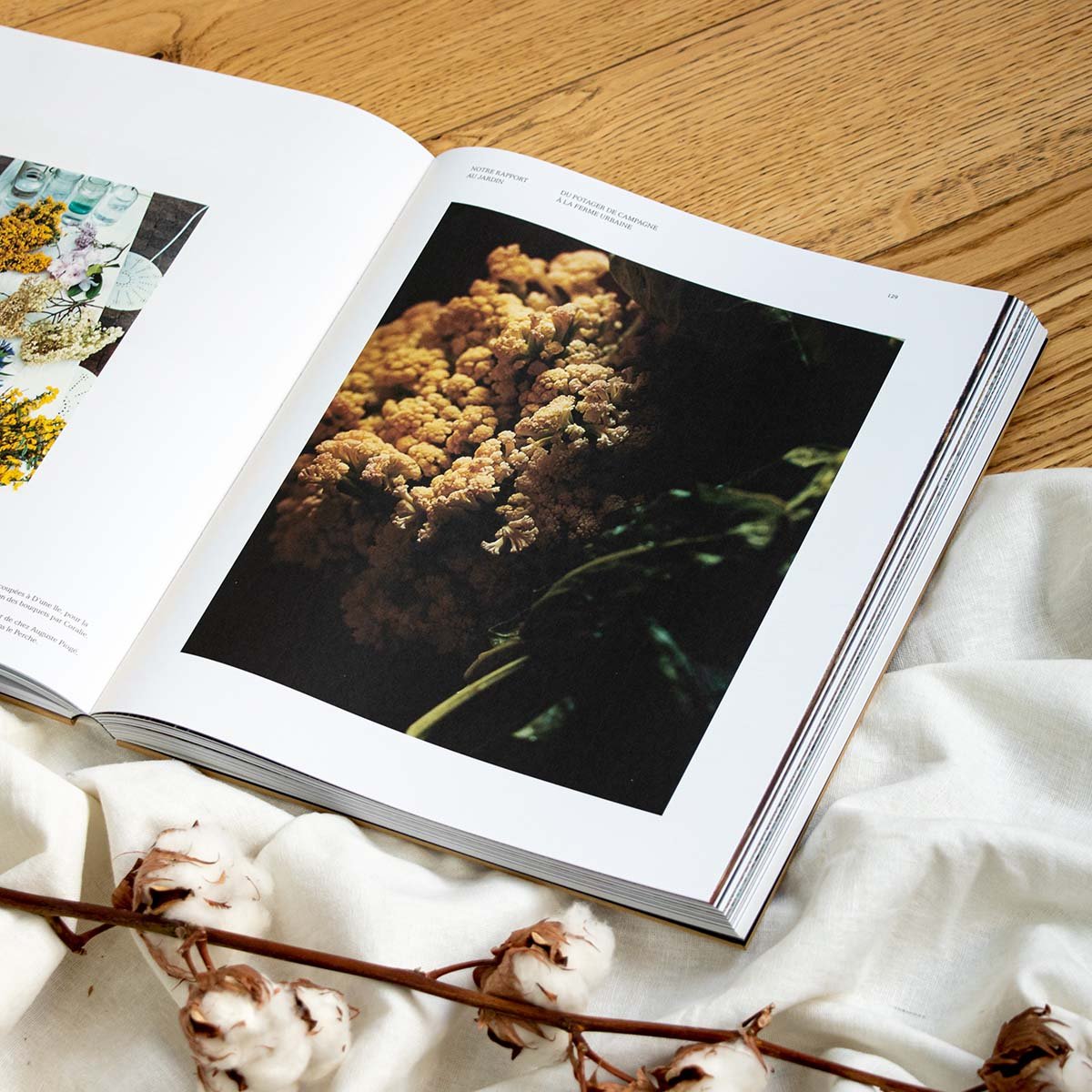 Livre Septime Phaidon – Livre culinaire du chef de Septime, recettes, anecdotes et réflexions gastronomiques, 304 pages