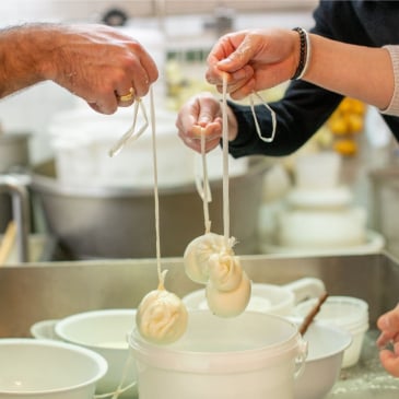 Fabriquez votre mozzarella artisanale