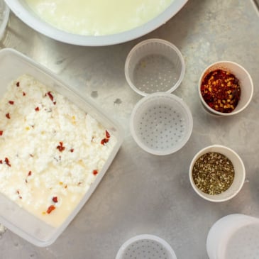 Fabriquez votre mozzarella artisanale Image 20524