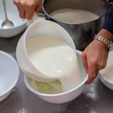 Fabriquez votre mozzarella artisanale (image 2)