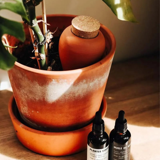 Réservoir d’eau naturel Pépin – Olla en céramique microporeuse, arrosage autonome et économe pour plantes