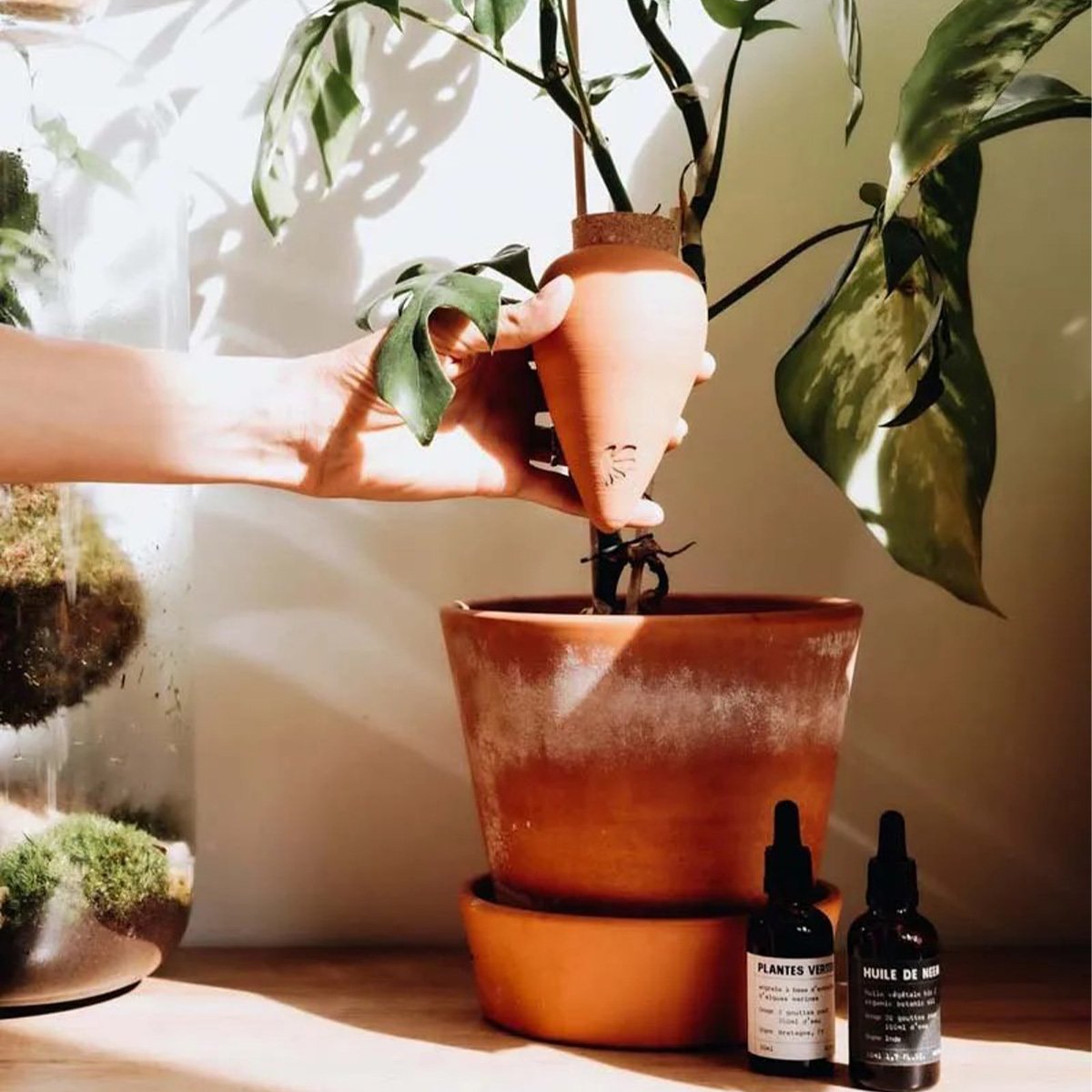 Réservoir d’eau naturel Pépin – Olla en céramique microporeuse, arrosage autonome et économe pour plantes