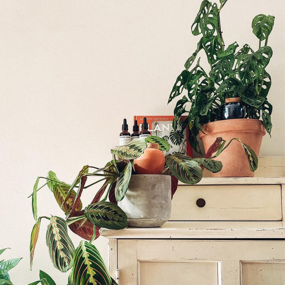 Réservoir d’eau naturel Pépin – Olla en céramique microporeuse, arrosage autonome et économe pour plantes