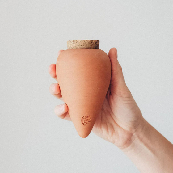 Réservoir d’eau naturel Pépin – Olla en céramique microporeuse, arrosage autonome et économe pour plantes