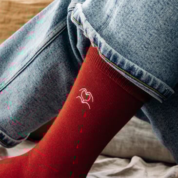 Chaussettes Love Socks Femme Image 24511