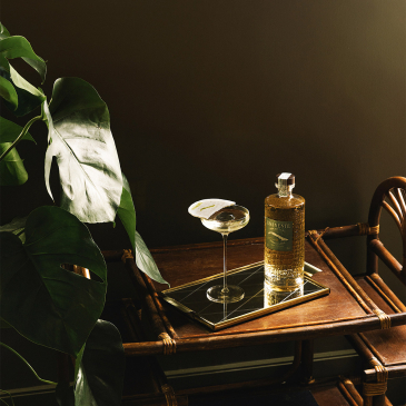 Découvrez la mixologie autour du rhum - Réservation Image 25281