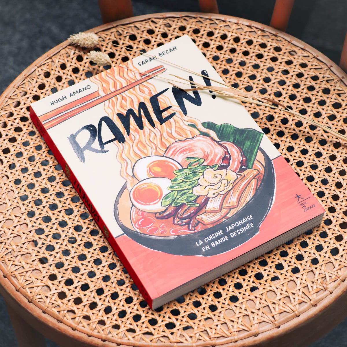 Livre de recettes Ramen ! – Hachette, bande dessinée culinaire de 192 pages avec 40 recettes authentiques, voyage au Japon
