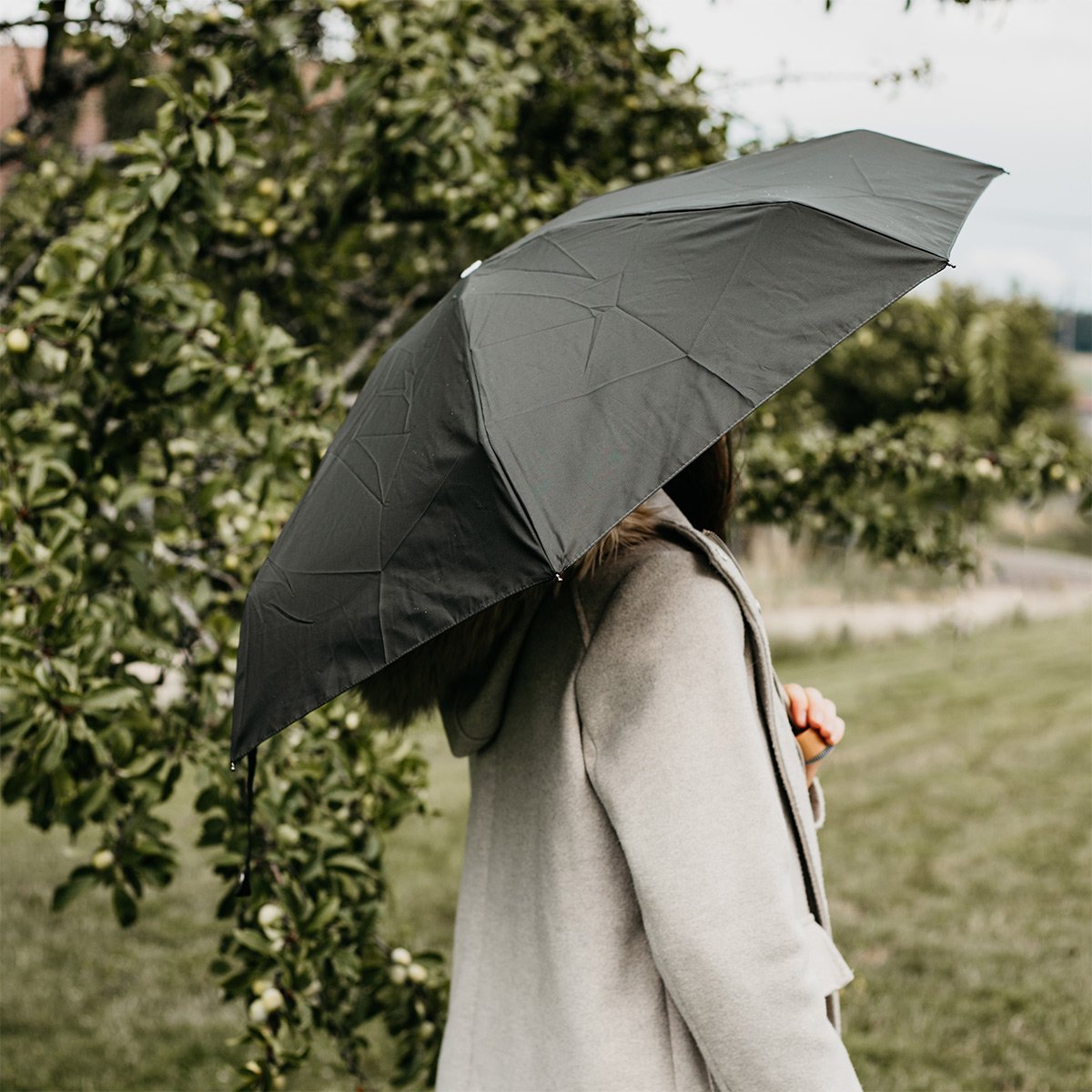 Micro-Parapluie Anatole – Compact, 7 baleines en fibre et carbone, déperlant et robuste contre le vent
