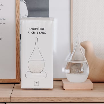 Petit cadeau original baromètre météo - Les Raffineurs Image 27890