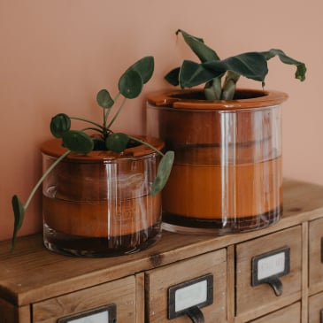 Pot en céramique intelligent (image 2)