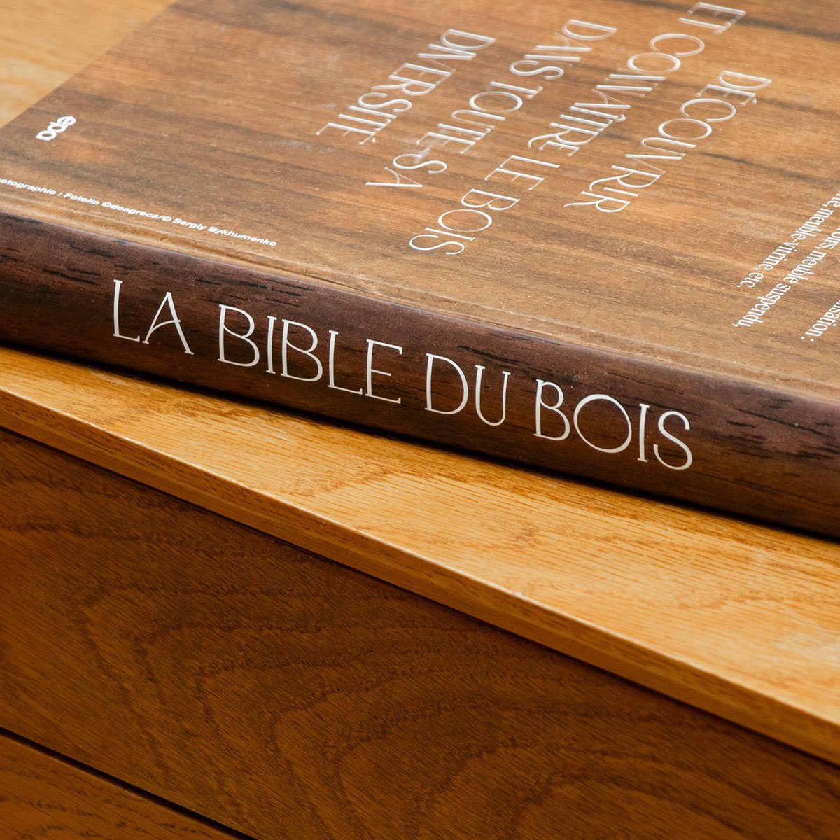 Livre La bible du bois – Hachette Pratique, guide de 312 pages avec 15 projets DIY pour maîtriser essences et menuiserie