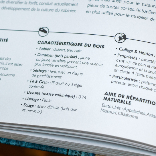 Livre La bible du bois – Hachette Pratique, guide de 312 pages avec 15 projets DIY pour maîtriser essences et menuiserie