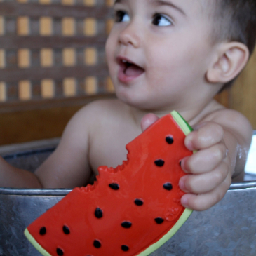 Anneau de dentition (image 2)