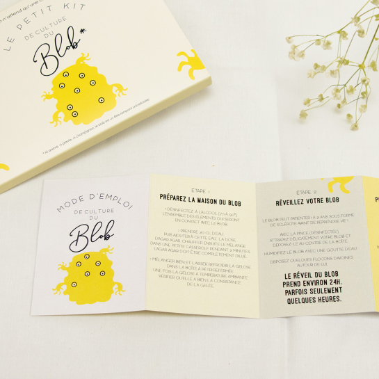 Kit Culture de Blob Pamela Loops – Élevez un organisme unicellulaire, expérience DIY scientifique et insolite