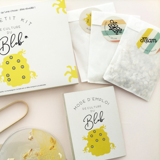 Kit Culture de Blob Pamela Loops – Élevez un organisme unicellulaire, expérience DIY scientifique et insolite