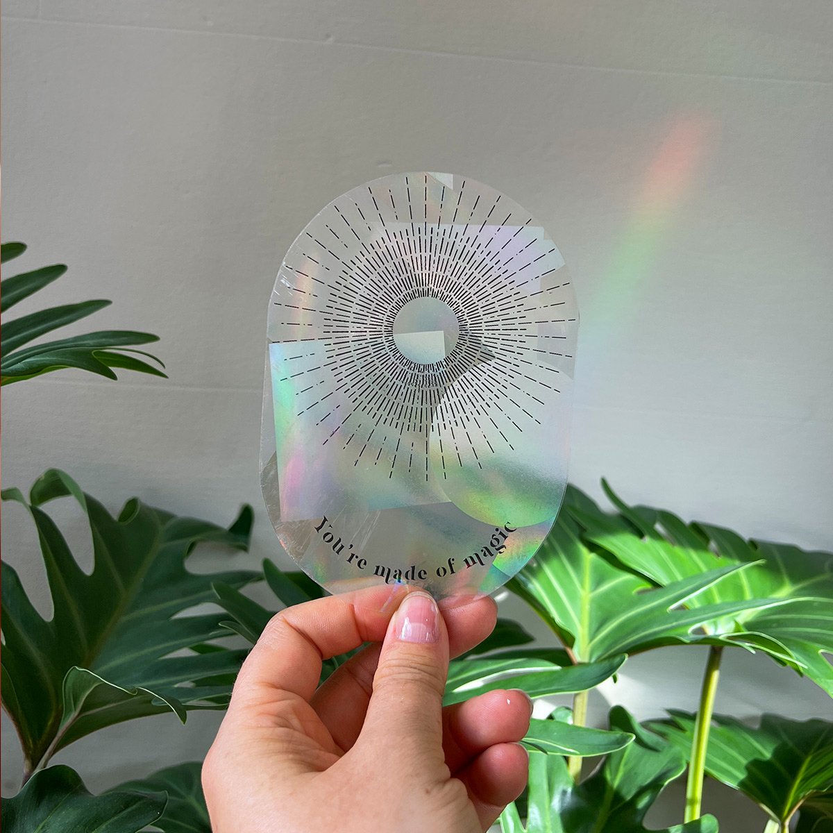 Stickers d’Arc-en-Ciel Botanopia – Autocollants décoratifs, suncatcher lumineux, repositionnable pour fenêtre
