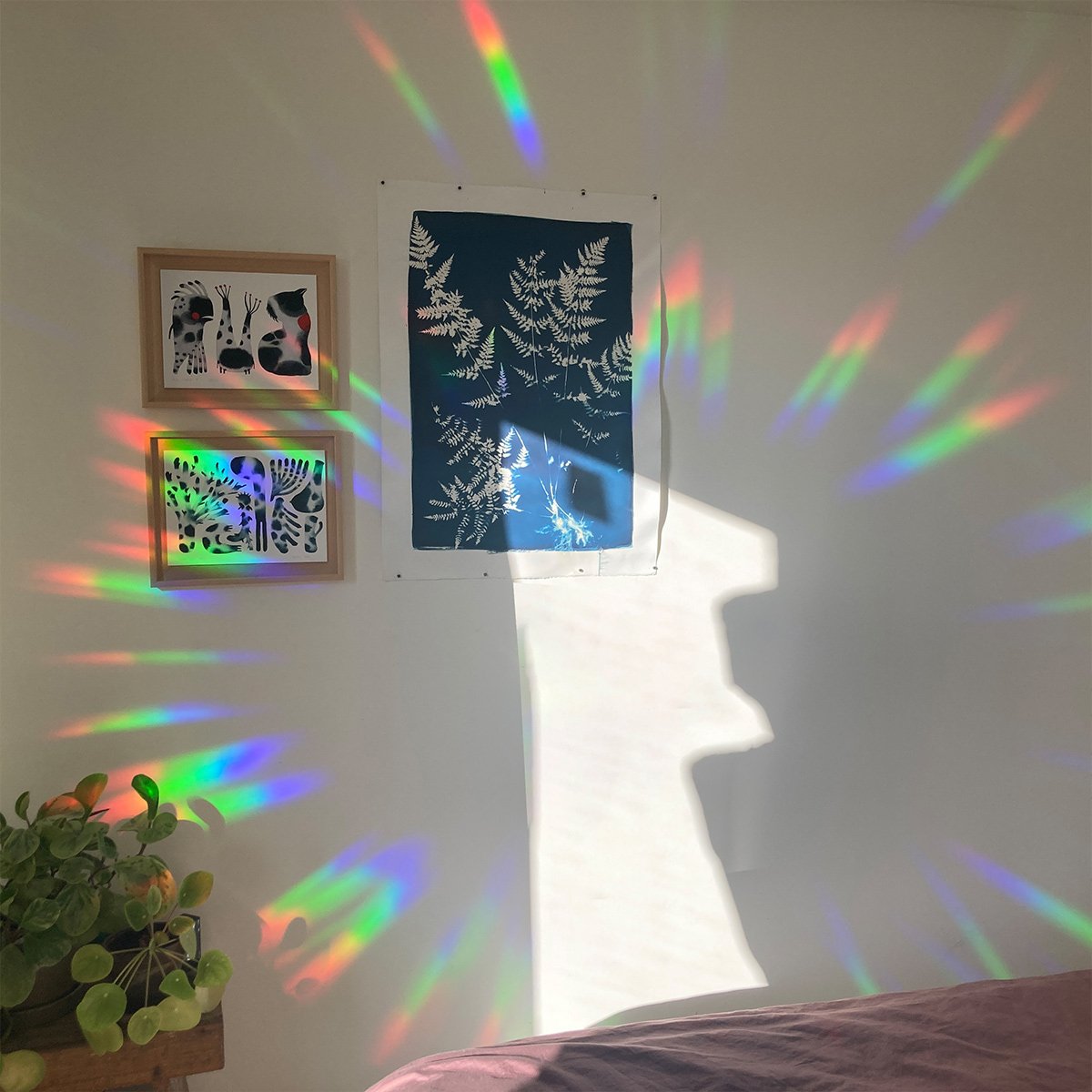 Stickers d’Arc-en-Ciel Botanopia – Autocollants décoratifs, suncatcher lumineux, repositionnable pour fenêtre