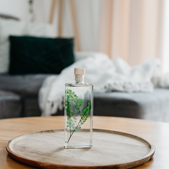 Plantes immergées en bouteille - Herbarium décoratifs fait en France - Idée cadeau femme