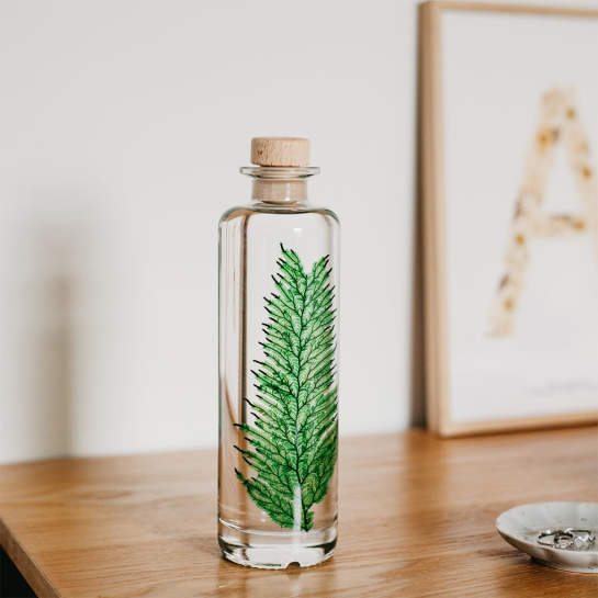 Plantes immergées en bouteille - Herbarium décoratifs fait en France - Idée cadeau femme