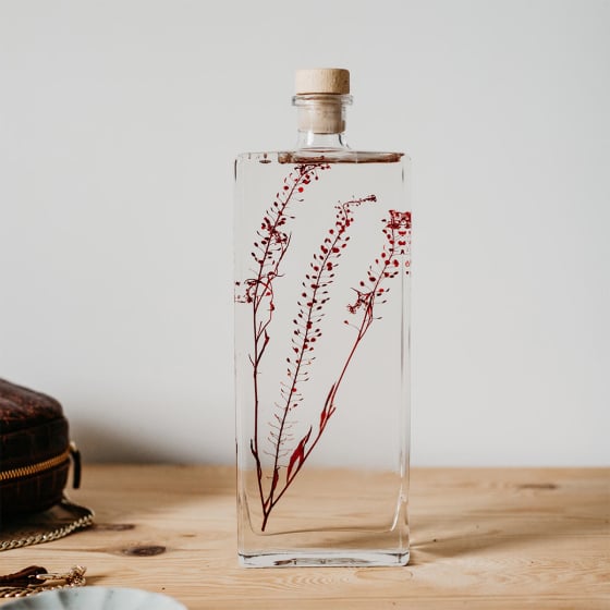 Plantes immergées en bouteille - Herbarium décoratifs fait en France - Idée cadeau femme