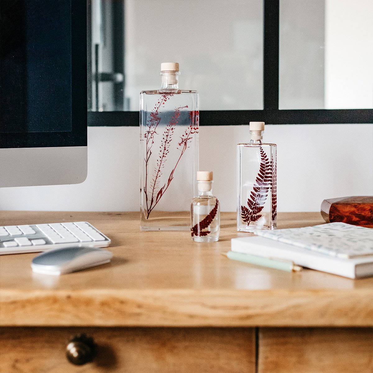 Plantes immergées en bouteille - Herbarium décoratifs fait en France - Idée cadeau femme