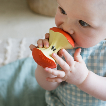 Anneau de dentition (image 2)