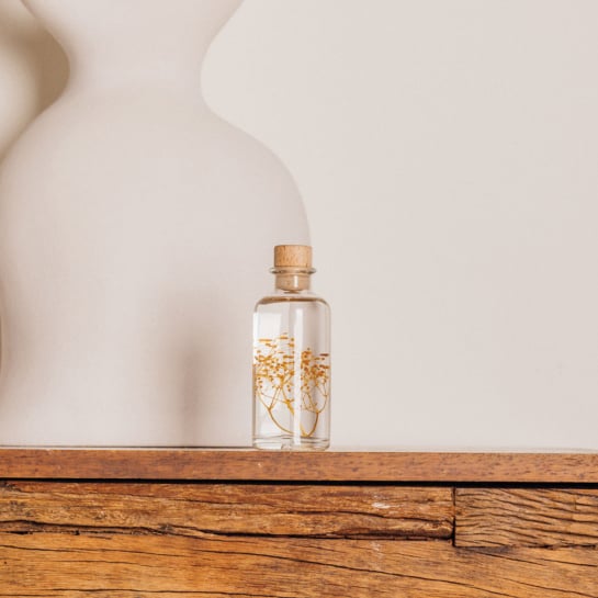 Plantes immergées en bouteille - Herbarium décoratifs fait en France - Idée cadeau femme