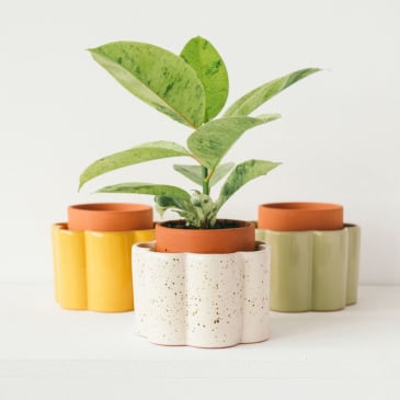 Pot à arrosage autonome