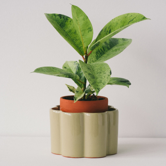 Pot à arrosage autonome – Pépin, pot en céramique microporeuse artisanal pour arrosage régulé, fabriqué au Portugal