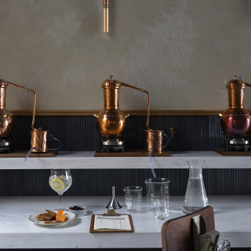 Distillez votre propre gin (image 2)