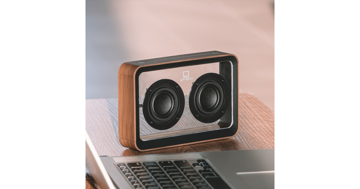 Enceinte Bluetooth transparente - Son stéréo TWS - Éclairage LED ajustable  - Finition bois noyer