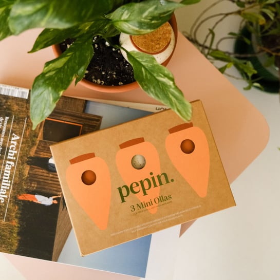 Set de 3 minis réservoirs d’eau – Pépin, ollas en terre cuite artisanales pour arrosage autonome de vos plantes