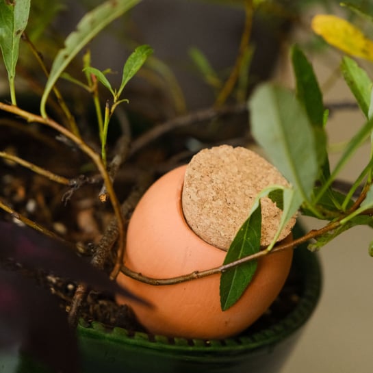 Set de 3 minis réservoirs d’eau – Pépin, ollas en terre cuite artisanales pour arrosage autonome de vos plantes