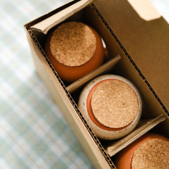 Set de 3 minis réservoirs d’eau – Pépin, ollas en terre cuite artisanales pour arrosage autonome de vos plantes