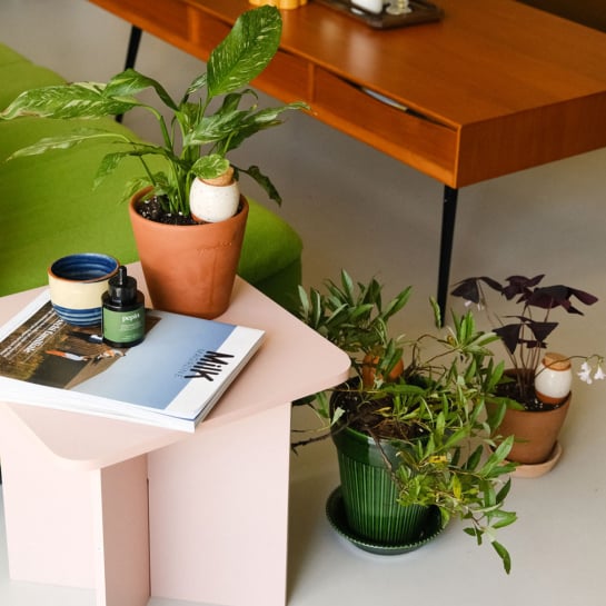 Set de 3 minis réservoirs d’eau – Pépin, ollas en terre cuite artisanales pour arrosage autonome de vos plantes